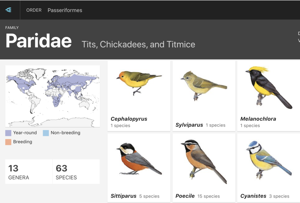 New Feature Bird Families of the World Birds of the World