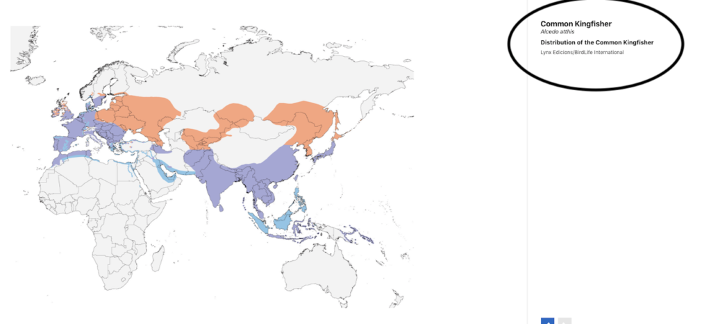 BirdLIfe Maps 1024x467 