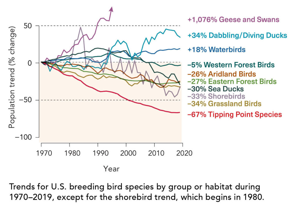 Trends at a Glance, 2022 U.S. State of the Birds Report, Courtesy of Cornell Lab of Ornithology