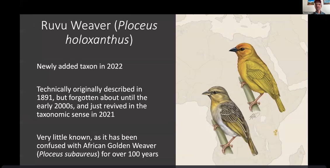 VIDEO: What's New in Avian Taxonomy? 2022 Annual eBird Taxonomy Update -  Birds of the World