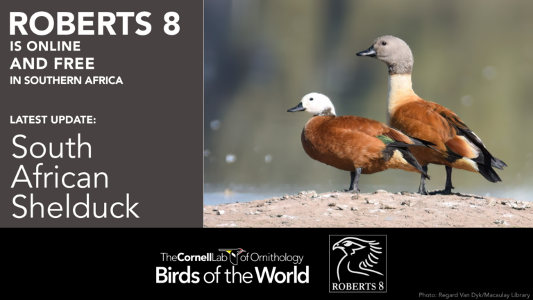 Birds Of The World - Cornell Lab Of Ornithology