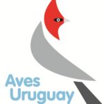 Logo Aves Uruguay