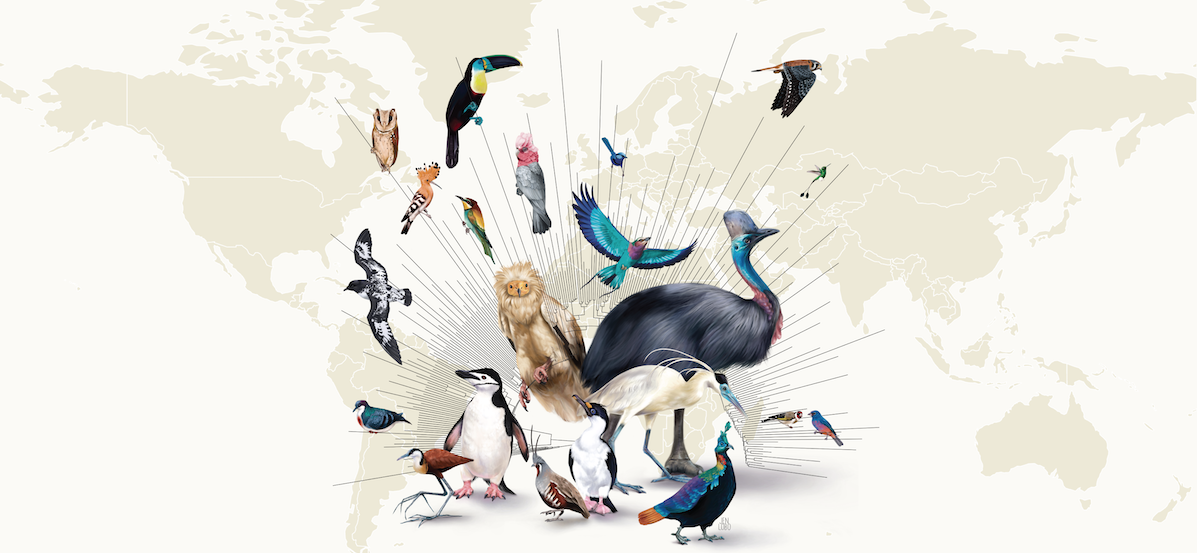 Birds of the world cornell lab of ornithology