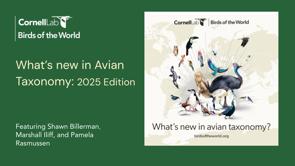 BOW Webinar, What's new in Avian Taxonomy.